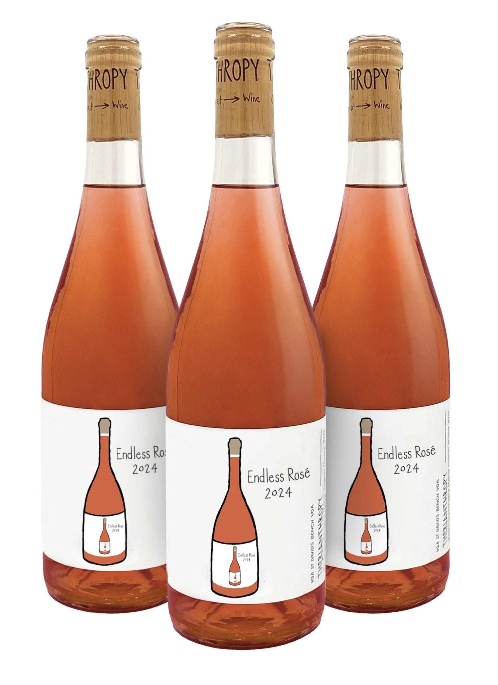 Endless Rosé 2024